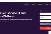 Top Business Intelligence Tools in 2025 Unveiled