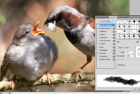 How to Use Photoshop to Create Beautiful Digital Art
