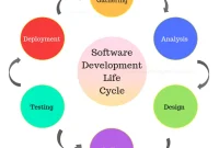 An Introduction to Software Development Life Cycle (SDLC) Essentials