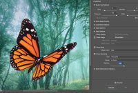 How to Work with Smart Objects in Photoshop