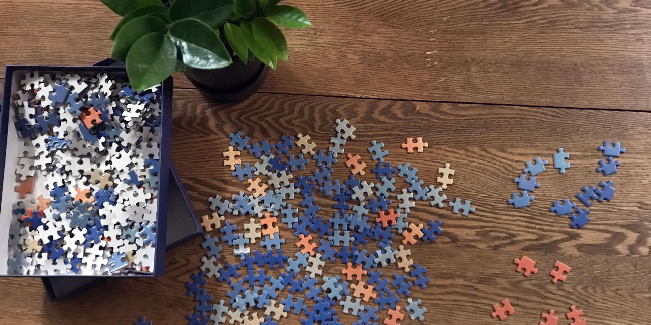 Best Wellness Product Reviews