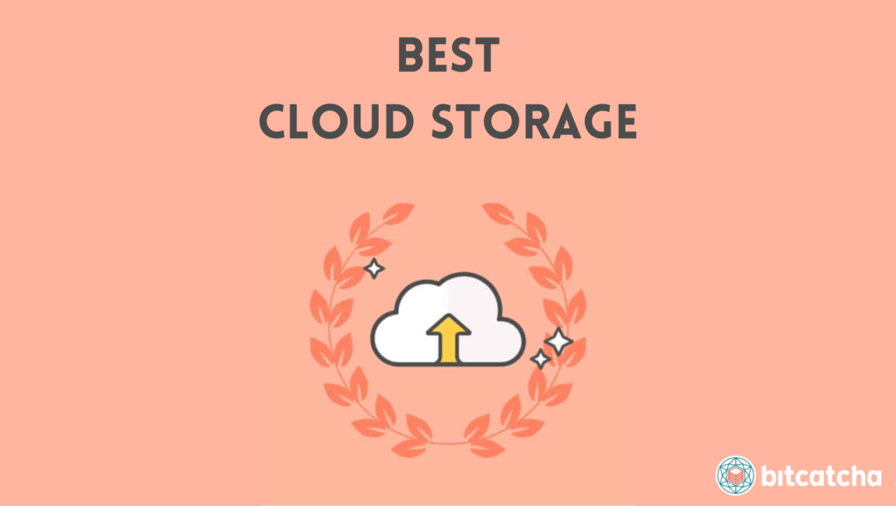 Top Cloud Storage Software Reviews
