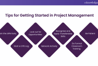 Software Project Management Tips For Beginners