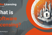 Understanding Software Licensing Options And Implications Made Easy
